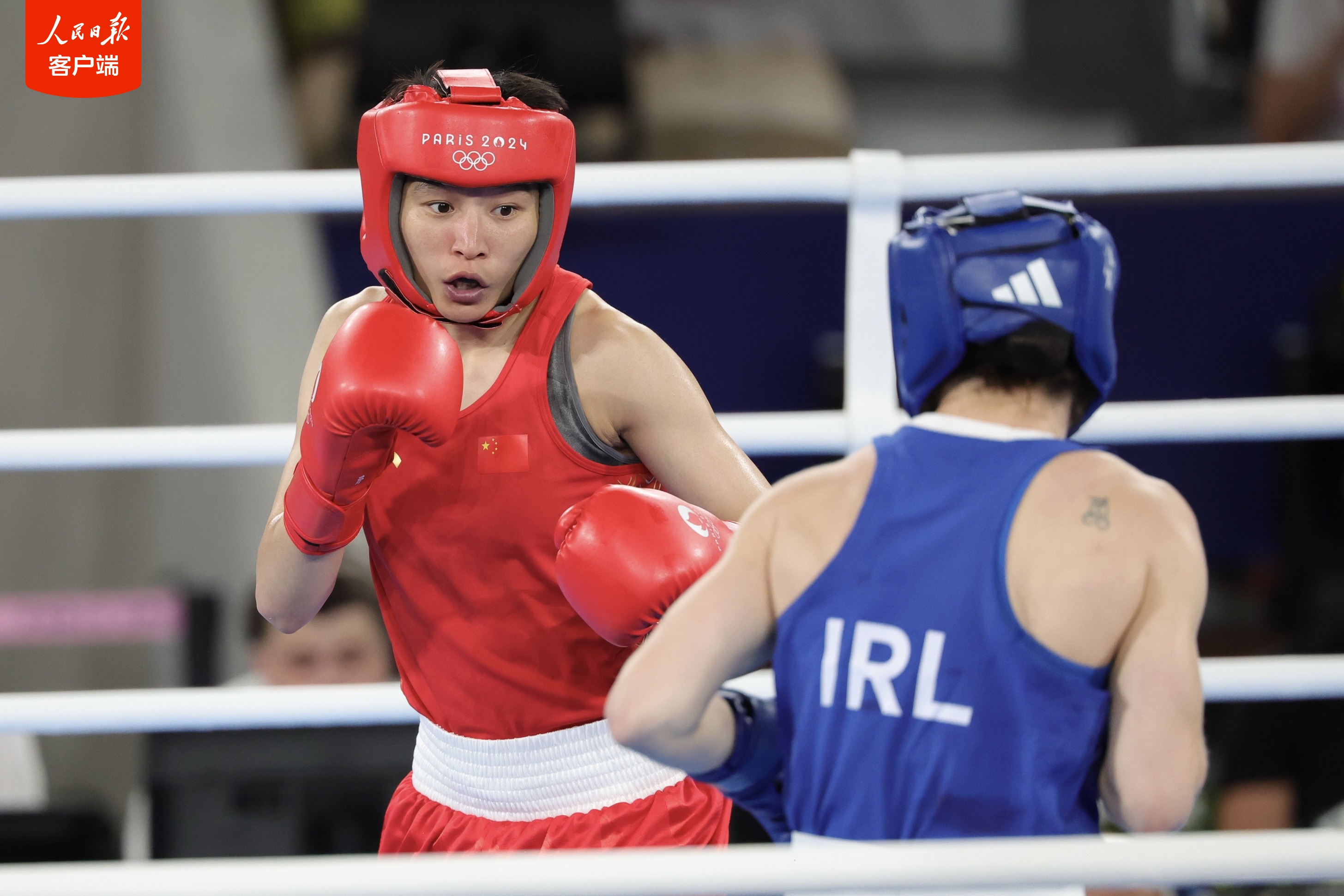 拳击热度飙升,网友热议不断 拳击热度飙升,网友热议不断