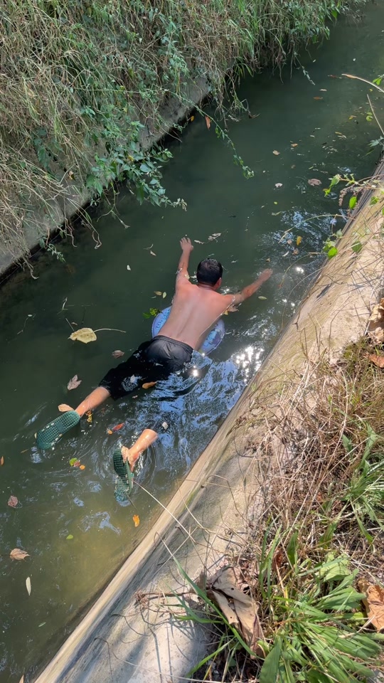 包含游泳热度飙升，网友热议不断的词条