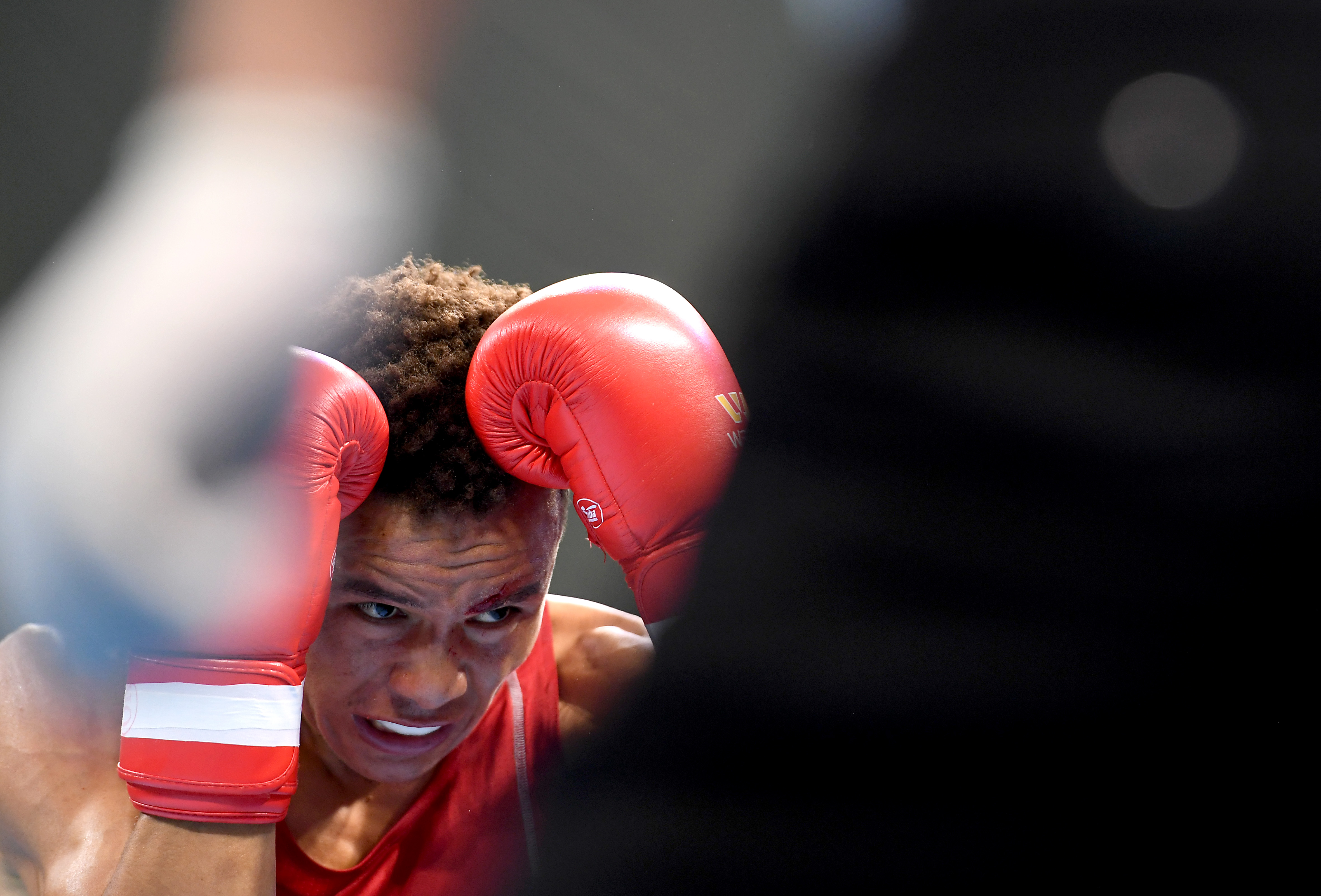 拳击赛事精彩瞬间盘点，年度回顾震撼登场