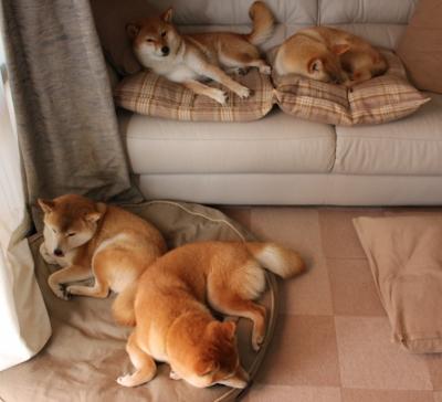 巴尔韦德独木难支，黄黑风暴高效终结巴萨时代幻影