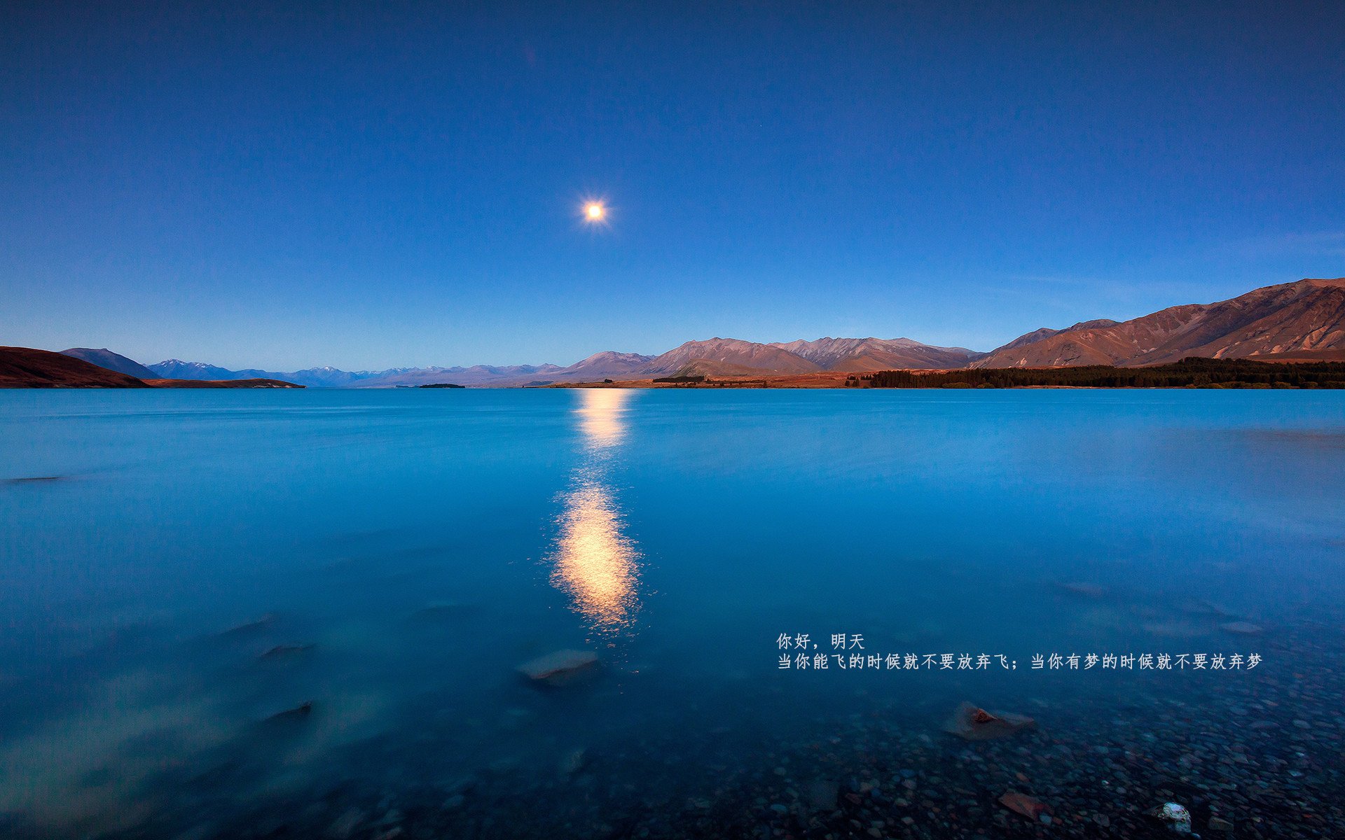 足球之夜的辉煌瞬间，孙兴慜全场最佳无争议，里昂横扫爱尔兰展实力