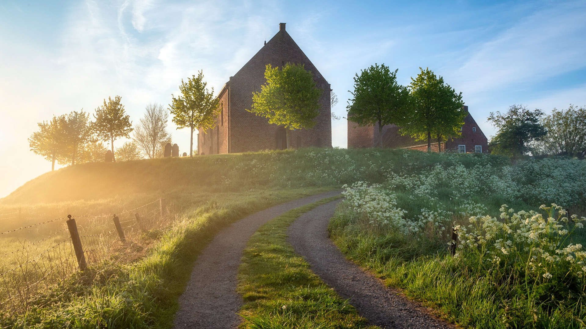塞内加尔对阵伊朗,跨洲对决的绿茵诗篇,孙兴慜里程碑的共鸣
