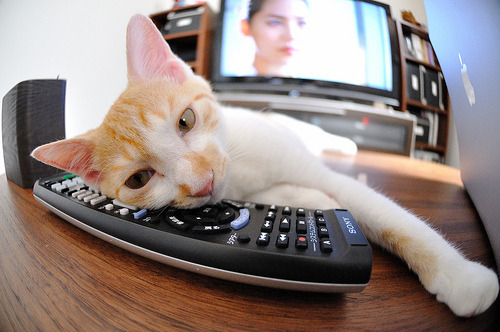 一战封神！友谊赛阿森纳击溃非洲劲旅，拉什福德临危救主成关键先生