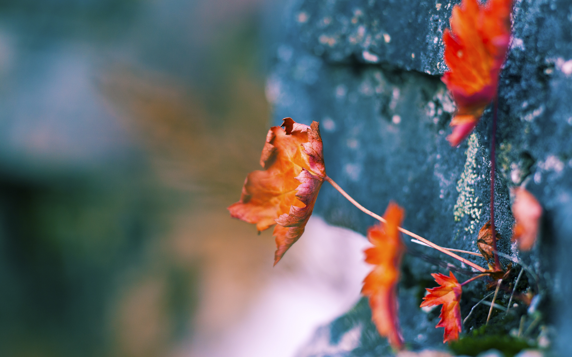 绝境三分！马克西加时赛一剑封喉，步行者险胜活塞迎关键救赎