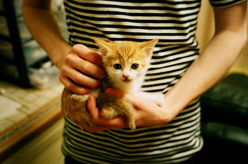 钢铁森林困孤岛，曼城窒息式封锁战术下的金玟哉困局