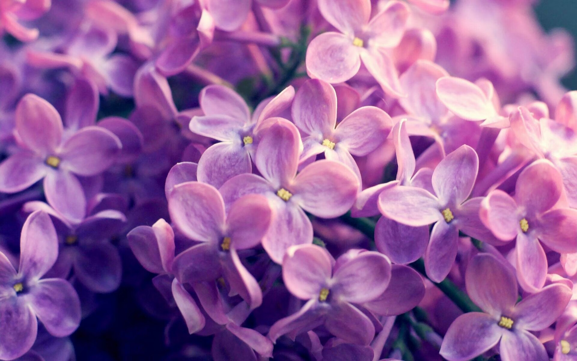 大舞台与闪电战,当巴尔韦德与曼联教会我们何谓决定性瞬间