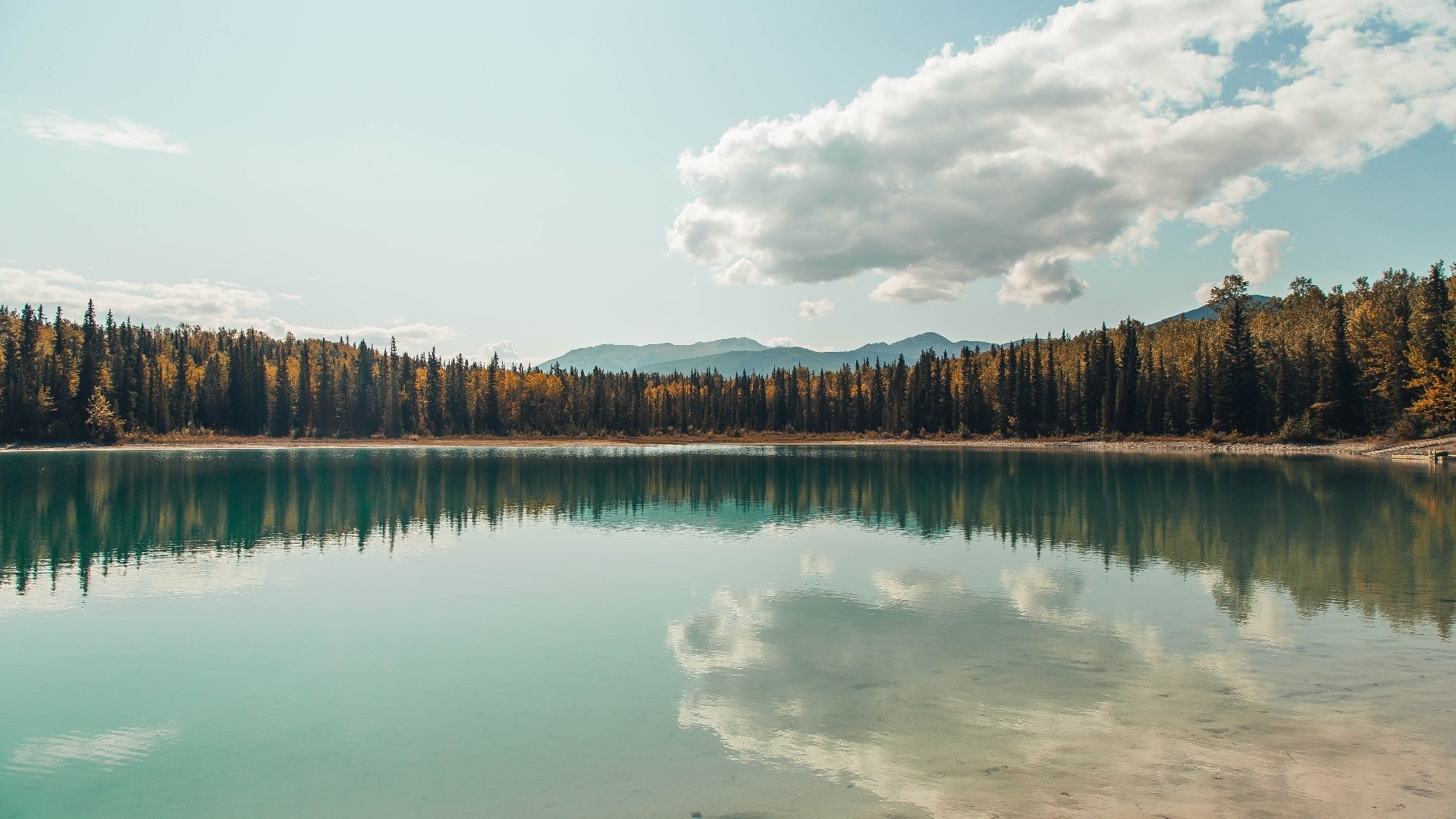 若日尼奥,那不勒斯的心脏与伊拉克的启示—当节奏大师跨越足球文明的对话