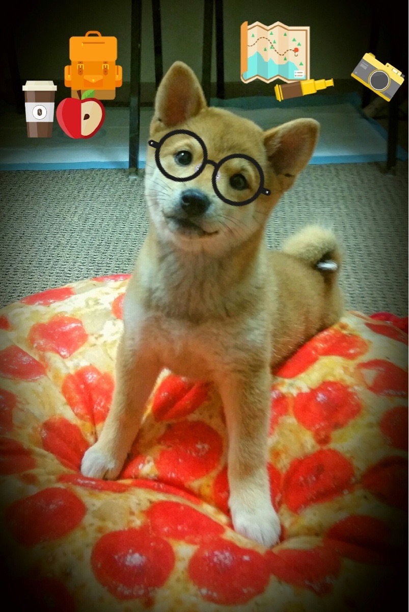 撕裂蓝桉树，拉亚末节接管与哥伦比亚的破局闪电