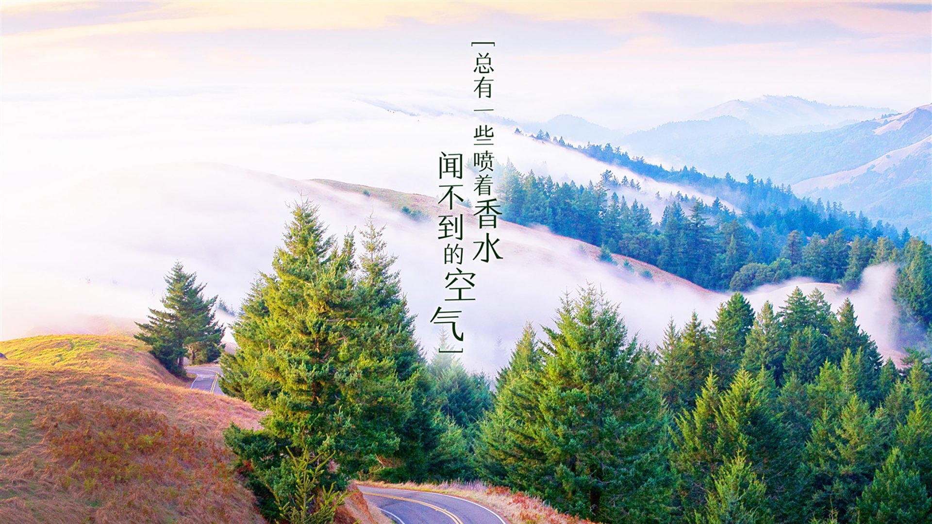 跨洋对决,当辽宁铁骑遭遇霍勒迪的攻防枢纽