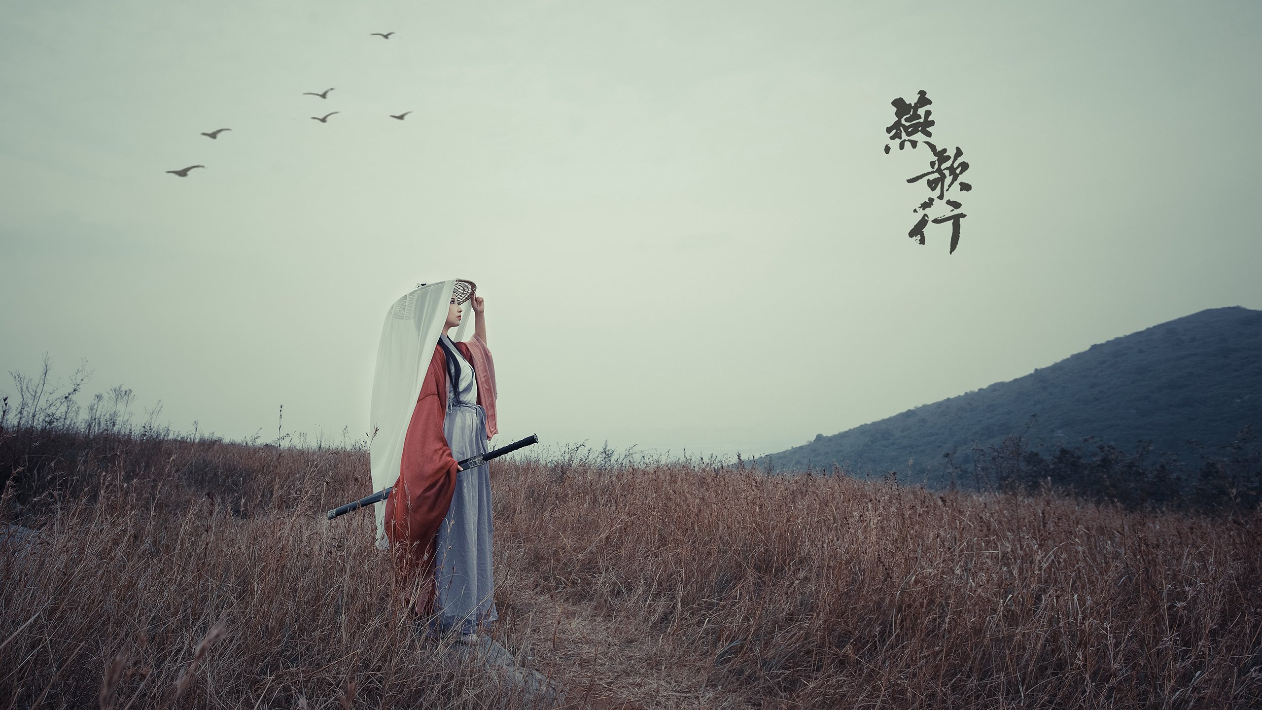 钢铁之笼,沙特如何用战术体系炼成一场足球公理颠覆之战