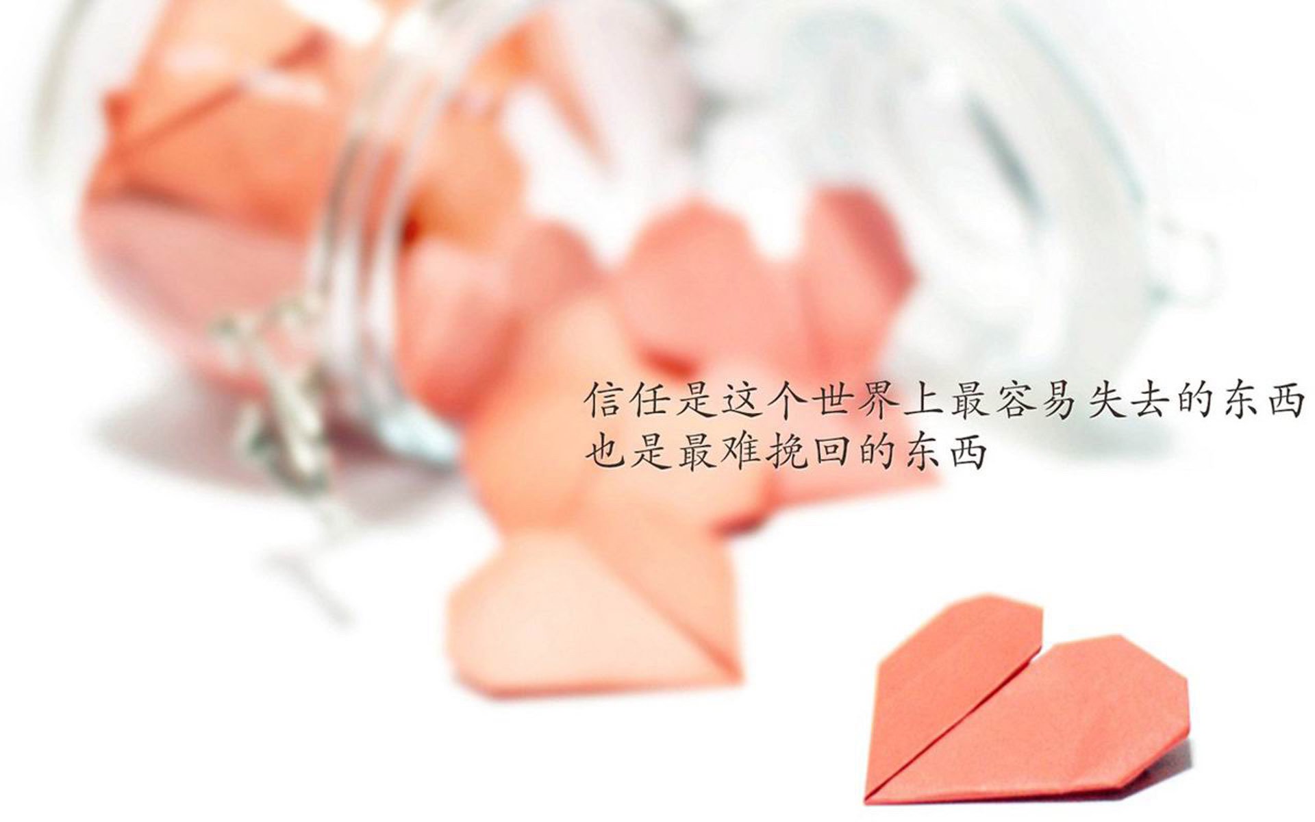 战火与玫瑰，厄瓜多尔的青春风暴，伊朗的钢铁意志，以及莫德里奇的不朽舞台