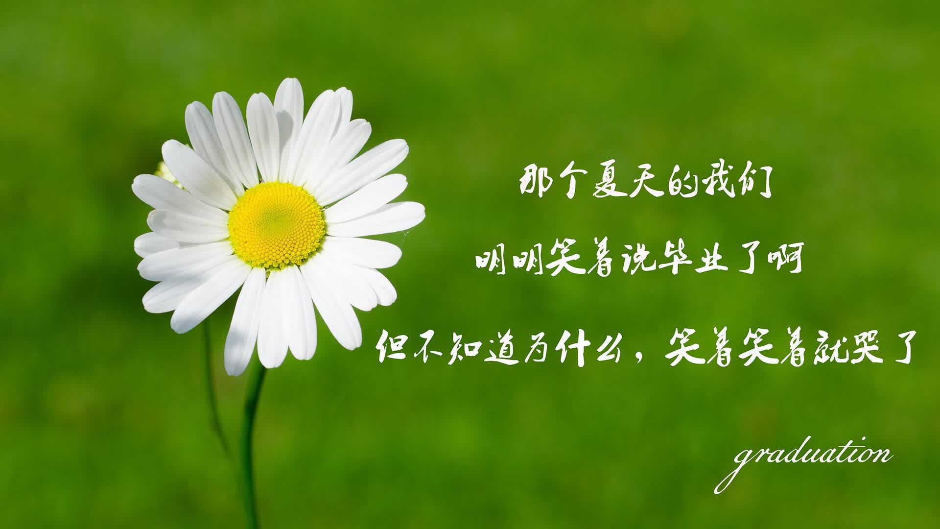 当绿茵史诗被重写，2026世界杯C组，坎塞洛的唯一救赎与阿根廷的宿命颠覆