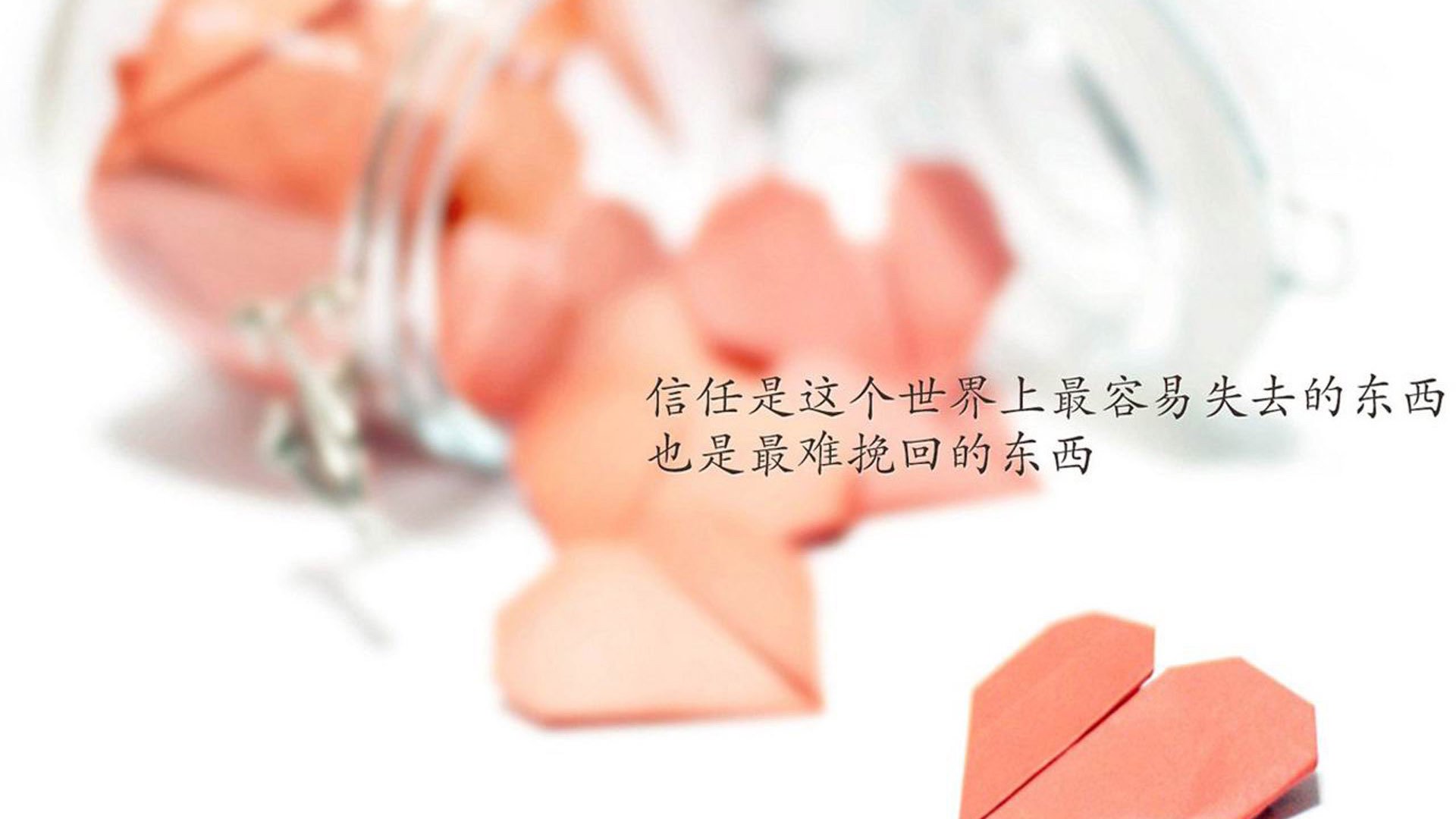 冷雨夜的唯一神迹，2026世界杯D组，塔雷米压哨绝杀，澳大利亚横扫葡萄牙的逆天改命