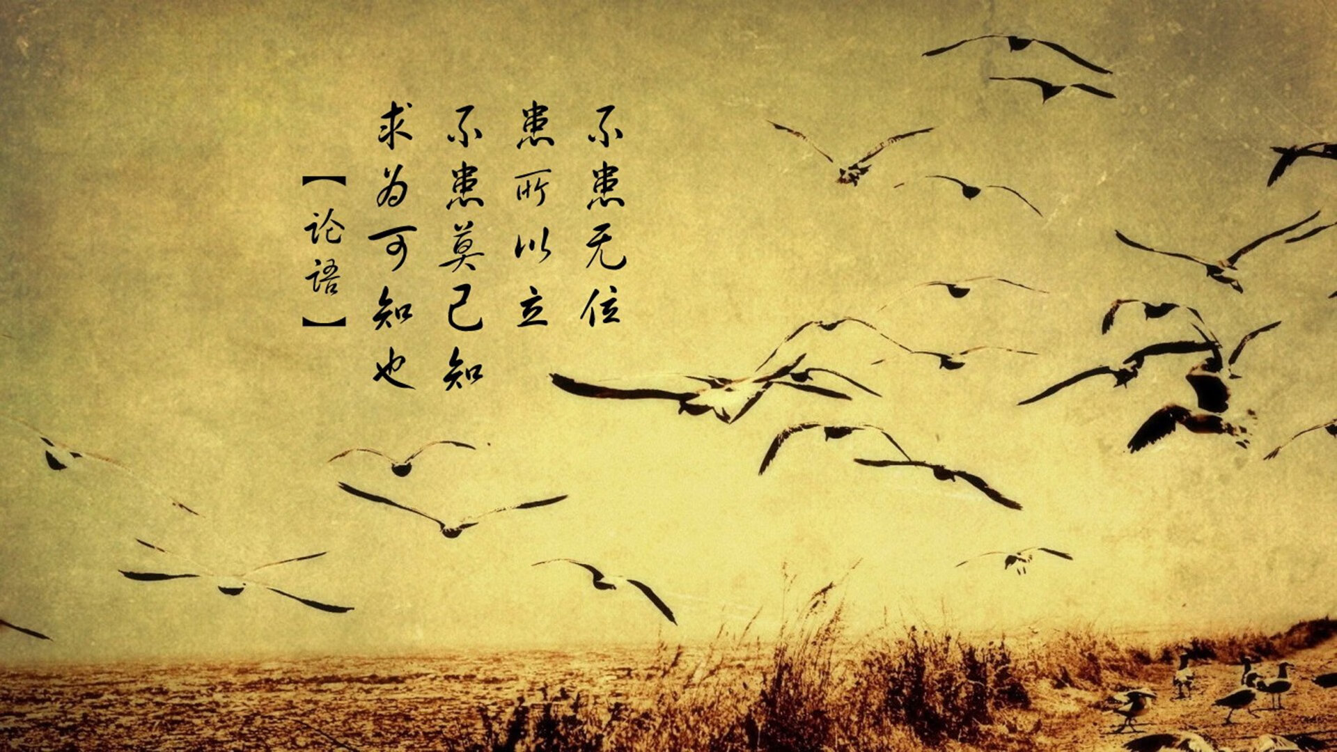 冰与火之歌的绝响,2026年世界杯,阿方索·戴维斯用唯一的火焰,融化了冰岛的童话